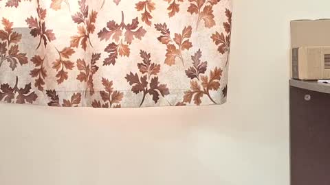 captian juicyprecum online show from March 2, 7:54 am