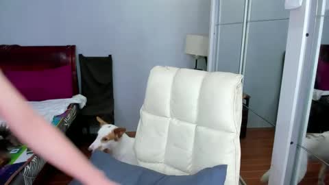 carla_bigcock09 online show from February 20, 11:09 am