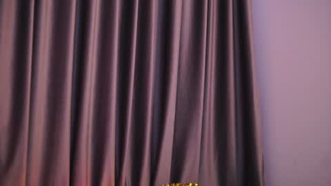 CarlaGavin online show from December 28, 1:38 pm