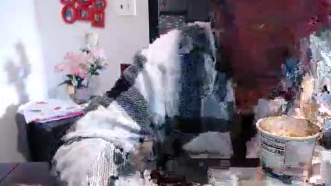 Carlie online show from March 13, 2:45 pm