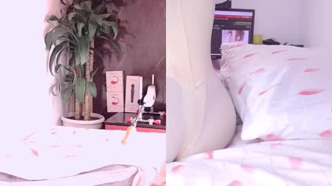 Carol online show from March 18, 11:02 am