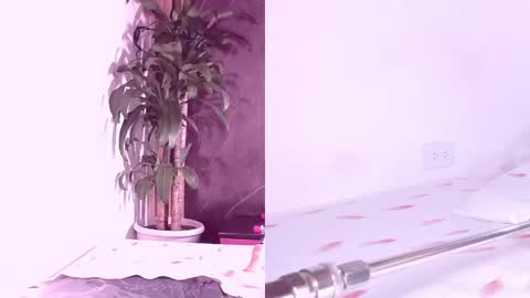 Carol online show from April 7, 11:21 am