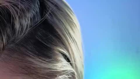 Char online show from November 26, 12:00 am