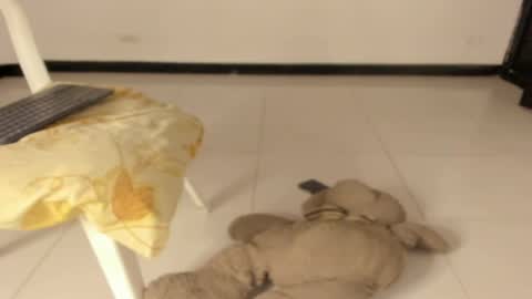 Caro online show from March 11, 12:22 pm