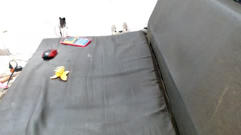 carol my sign is capricorn online show from December 7, 12:41 am