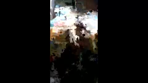 Snapshot of carrilloeverardo219 chatting on March 23, 11:31 pm carrilloeverardo219 online show from March 23, 11:31 pm