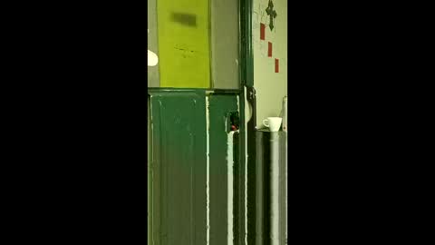 Snapshot of carrilloeverardo219 chatting on March 25, 7:58 am carrilloeverardo219 online show from March 25, 7:58 am