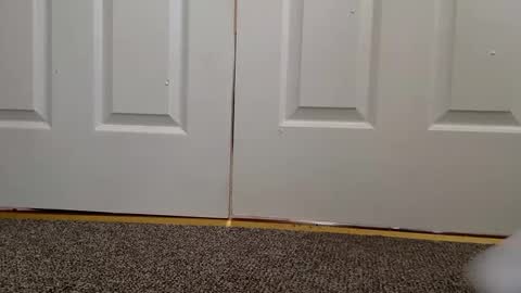 cash13bychanel online show from December 11, 8:28 pm