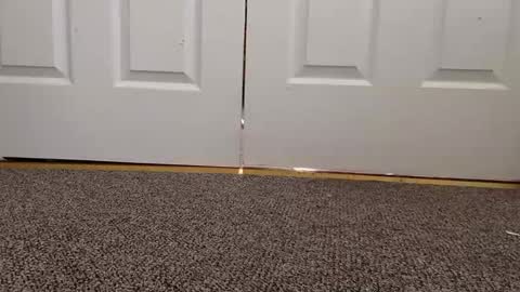 cash13bychanel online show from January 22, 8:17 pm