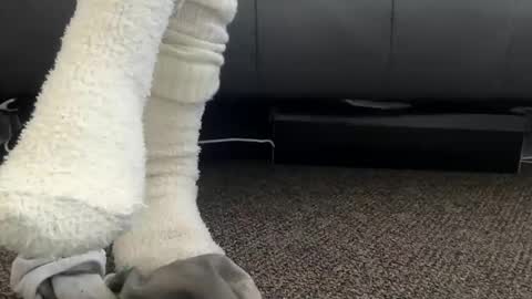 cash13bychanel online show from December 5, 6:59 pm