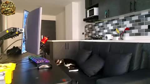 cash_master777 online show from May 21, 1:07 pm