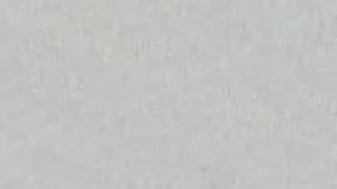 CashYanks online show from June 13, 11:52 am