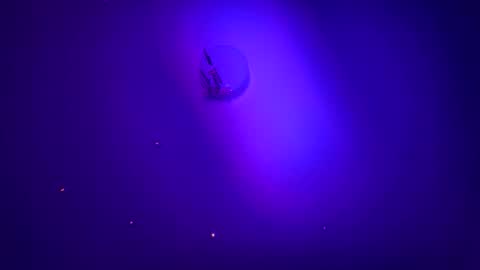 Snapshot of casidy1 chatting on January 21, 6:00 am casidy1 online show from January 21, 6:00 am