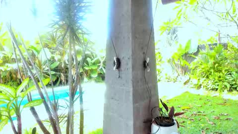 Hello my name is Cassie and my friend Nilo is also here online show from February 18, 1:12 am