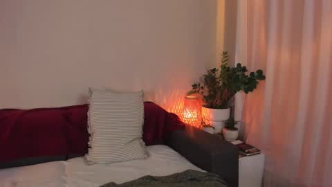 Snapshot of cassisland chatting on November 8, 2:23 am cassandra online show from November 8, 2:23 am