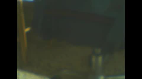 castells online show from October 20, 5:02 pm