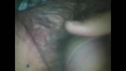 castells online show from November 2, 5:04 pm