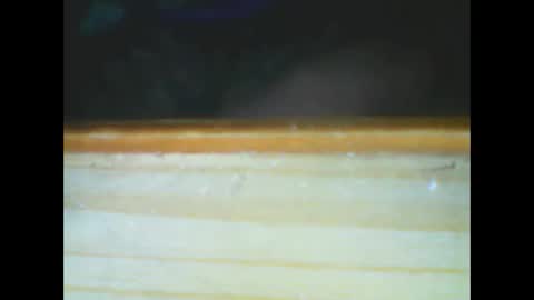 castells online show from December 15, 6:01 pm