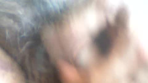 castells online show from June 26, 3:49 pm