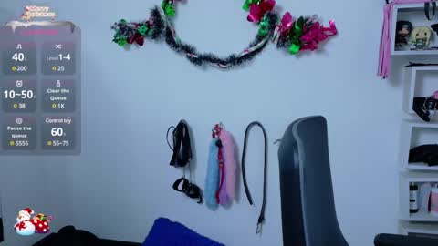 Snapshot of cat_white chatting on December 28, 12:03 pm Cata online show from December 28, 12:03 pm