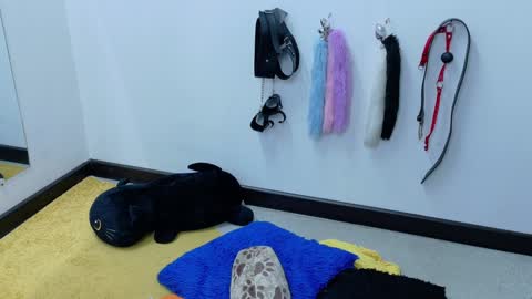 Snapshot of cat_white chatting on January 21, 6:02 pm Cata online show from January 21, 6:02 pm
