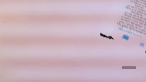 Cataleya online show from December 1, 11:04 am