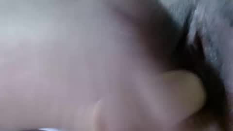 Snapshot of cattleya1618 chatting on December 21, 8:18 am cattleya online show from December 21, 8:18 am