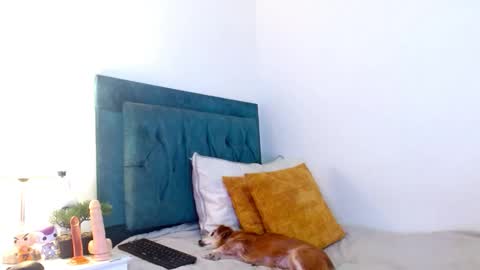 Snapshot of cedrixx10 chatting on February 11, 8:58 pm Cedrixx10 online show from February 11, 8:58 pm