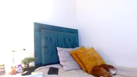 Snapshot of cedrixx10 chatting on February 25, 10:19 pm Cedrixx10 online show from February 25, 10:19 pm