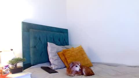 Snapshot of cedrixx10 chatting on February 28, 10:00 pm Cedrixx10 online show from February 28, 10:00 pm