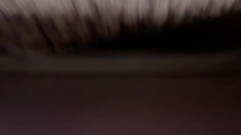 cenobitfor online show from March 6, 11:28 am