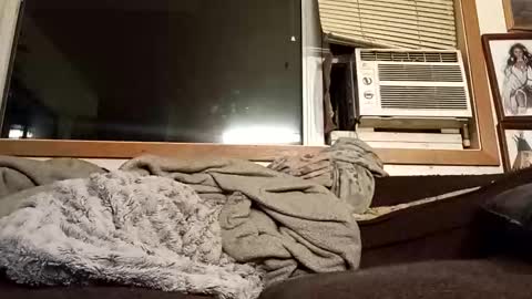 Snapshot of chad1980420 chatting on February 4, 3:23 am Chad420247 online show from February 4, 3:23 am