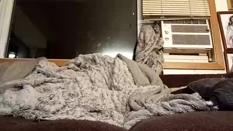 Snapshot of chad1980420 chatting on February 11, 12:37 am Chad420247 online show from February 11, 12:37 am