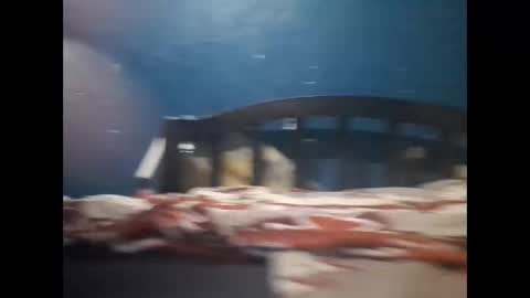 Khalif online show from December 20, 10:11 pm