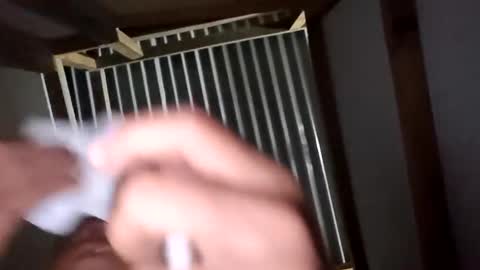 chancherman online show from December 2, 6:41 am