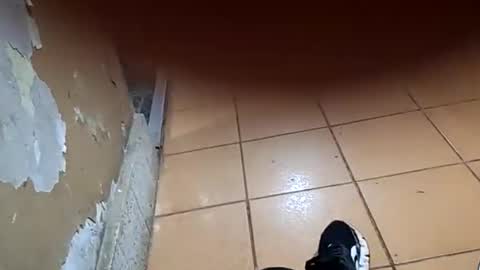 chancherman online show from January 10, 4:25 am