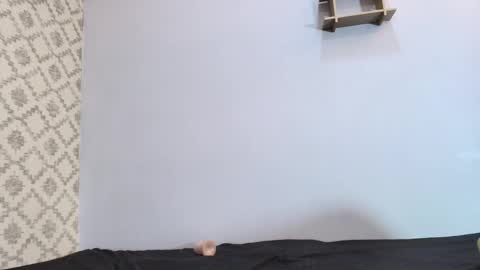 Raquel  online show from March 10, 3:09 pm