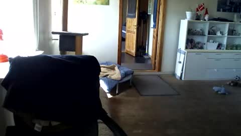 chefben666 online show from April 12, 9:25 am