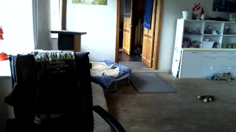 chefben666 online show from April 15, 11:17 am