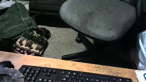 chefy online show from December 18, 10:54 am