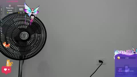 Samy Perez online show from February 17, 7:09 pm