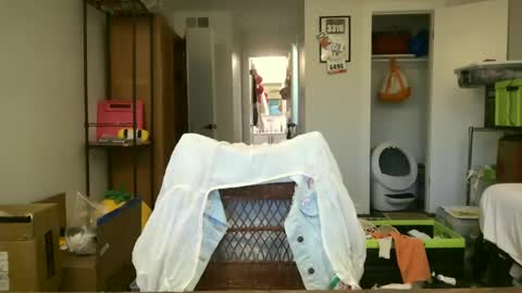 cherryrhett online show from June 29, 12:06 am