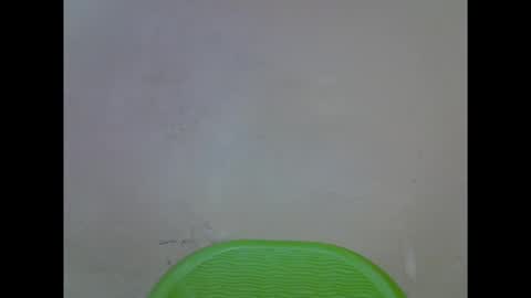 cherryxpussy online show from October 3, 12:02 pm