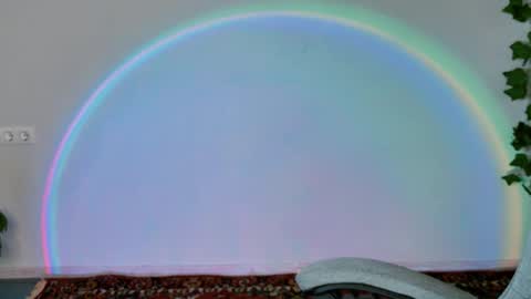 Bella online show from February 11, 9:14 am