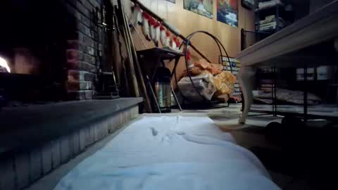 chippy70 online show from January 18, 7:45 am