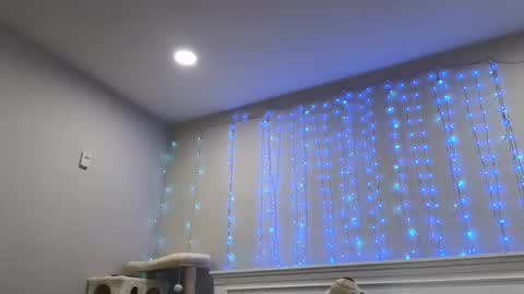 Christy Love online show from December 29, 1:24 am