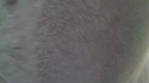 Snapshot of chubbycub14 chatting on February 7, 3:38 pm chubbycub14 online show from February 7, 3:38 pm