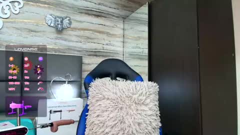 ...   ... online show from January 26, 10:12 am