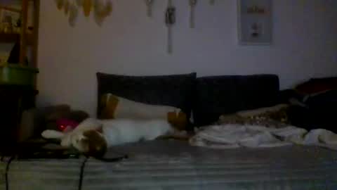 Snapshot of ciasnsyrize1996 chatting on March 4, 9:54 pm ciasnsyrize1996 online show from March 4, 9:54 pm