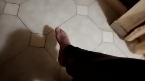 ciccilli online show from November 5, 11:49 pm